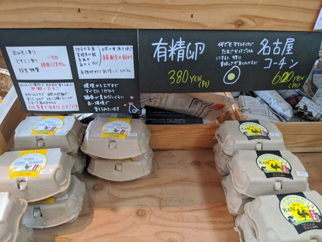 オーガニック専門店OYASAIYA菜の店内に有精卵と名古屋コーチンの卵が並んでいる写真