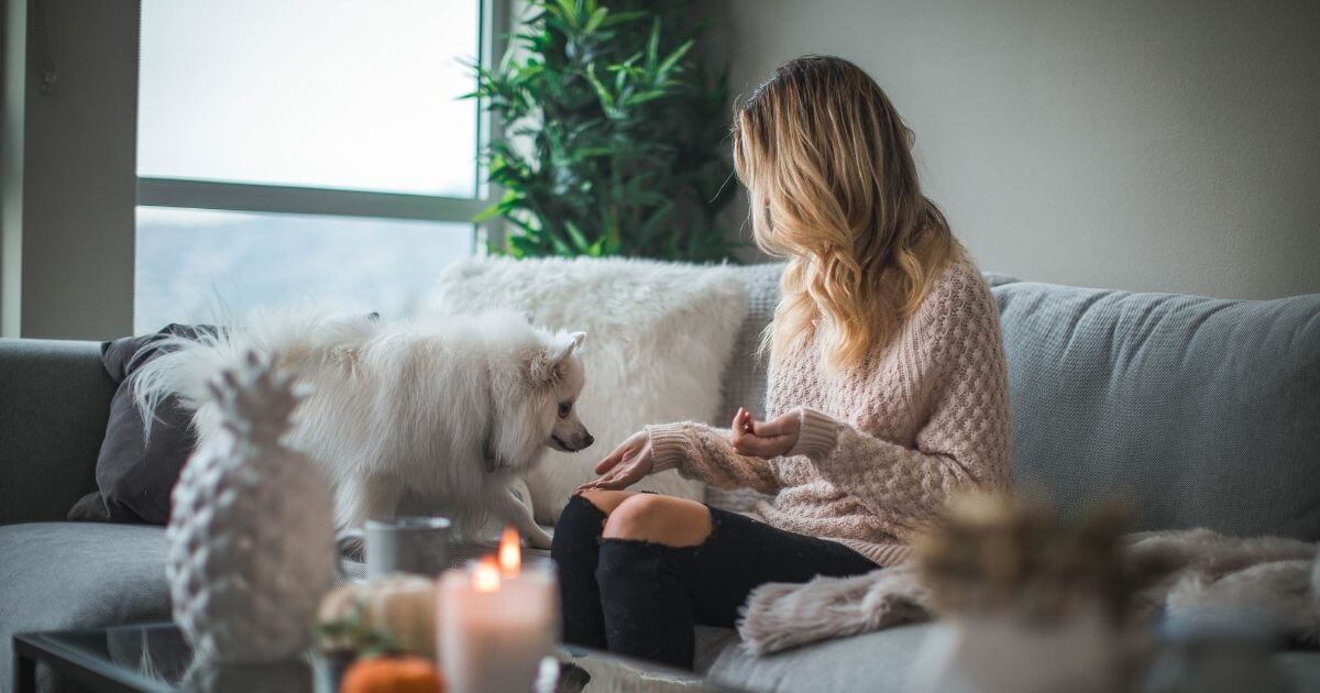 ソファーに座っている女性と犬の画像
