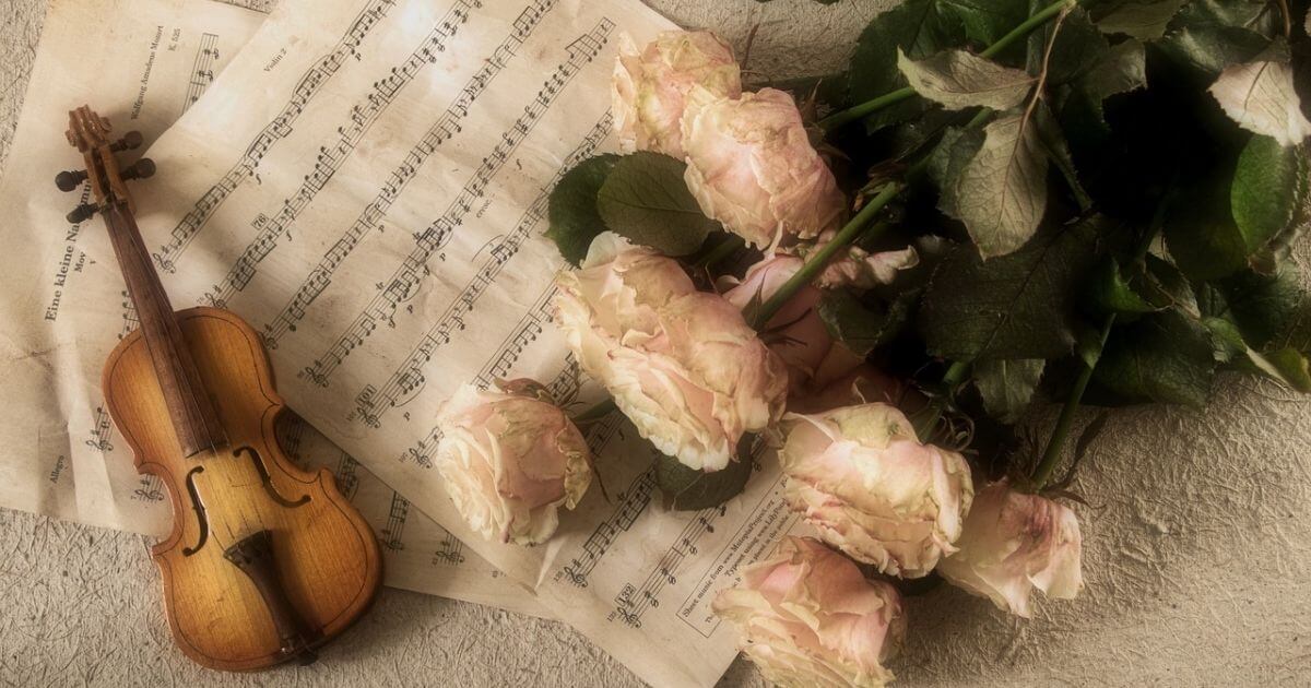 楽譜とギターと白いバラの花の画像