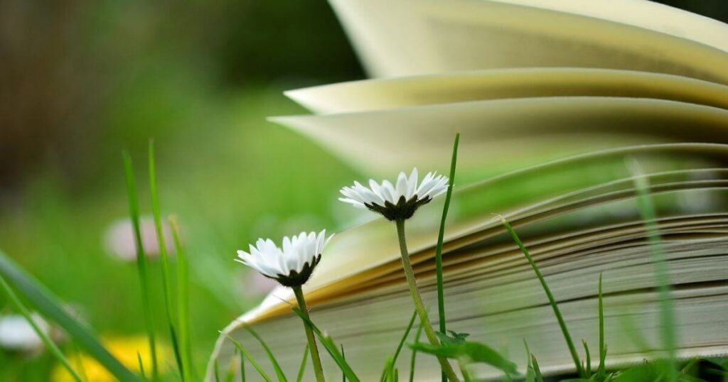 芝生の上に2本の白い花と本が開かれていている画像